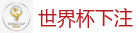世界杯下注 - 2026世界杯 (FIFA WorldCUP)中国体育彩票指定平台